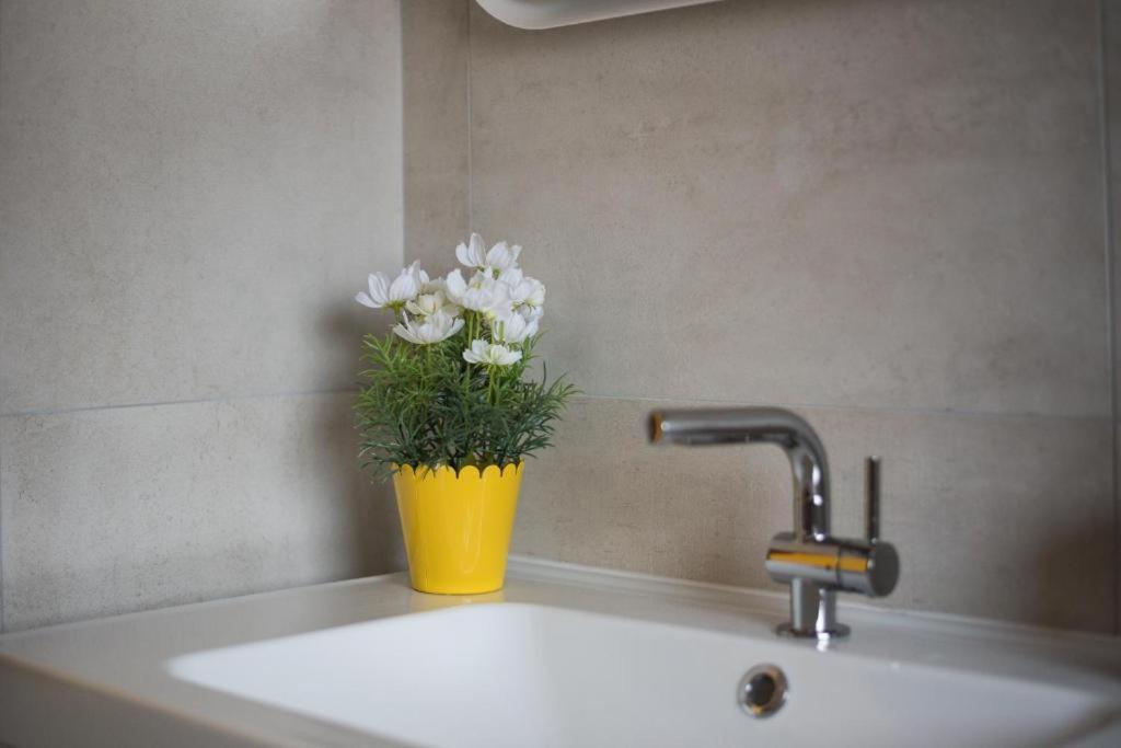 Dream In Arena 1 Center Free Parking Appartement